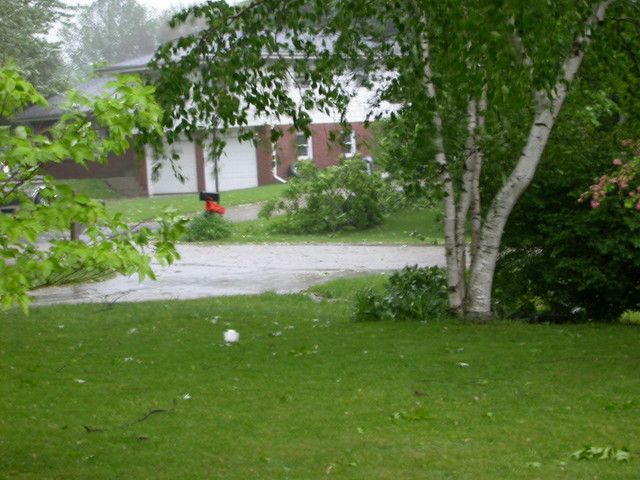 Storm damage - broken limb