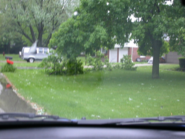 Storm damage - broken limb 2