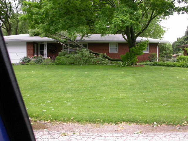 Tree on house again